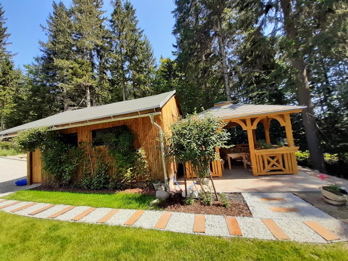 Apartamenty Przy Swierku Szklarska Poreba Luaran gambar