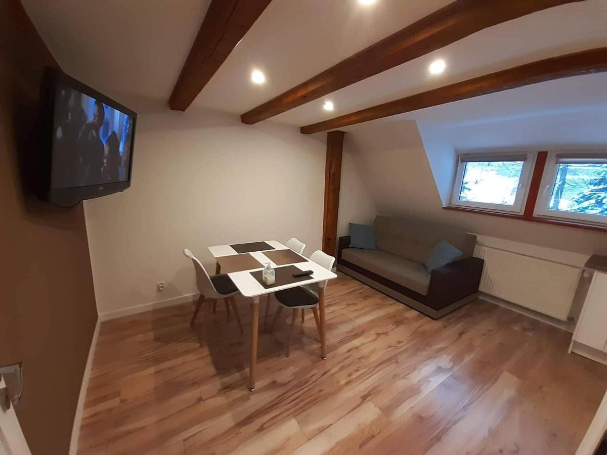 Apartamenty Przy Swierku Szklarska Poreba Luaran gambar