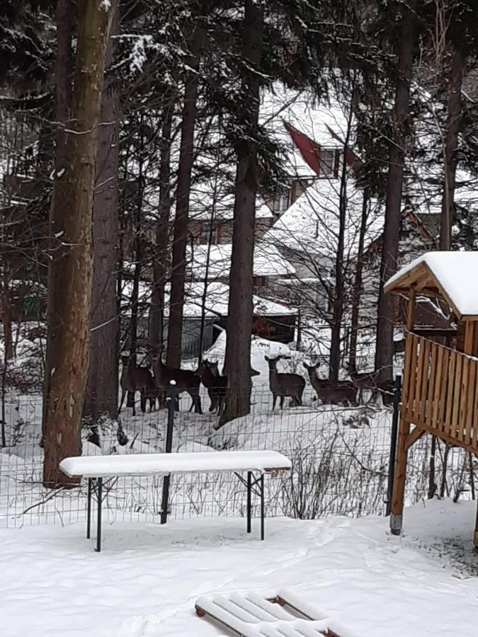 Apartamenty Przy Swierku Szklarska Poreba Luaran gambar