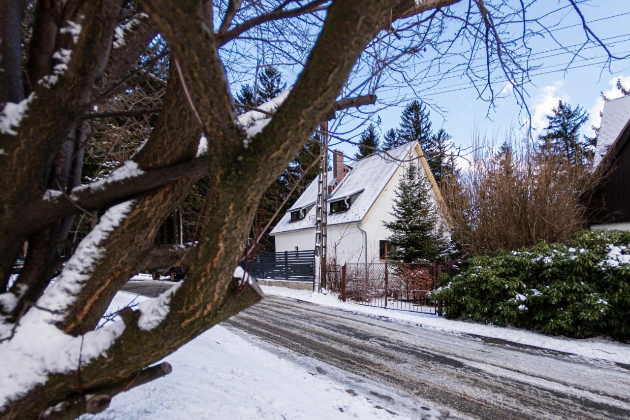 Apartamenty Przy Swierku Szklarska Poreba Luaran gambar